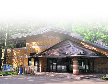 Nikko Natural Science Museum, Tochigi Prefecture