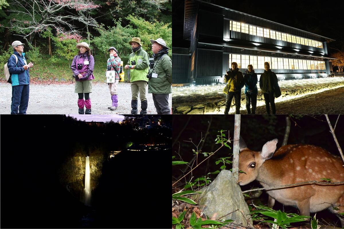 【令和5年11月12日(日),16日(木)　郷土史研究家&自然解説員のWガイド！】中禅寺温泉ネイチャー＆歴史満喫ウォーク