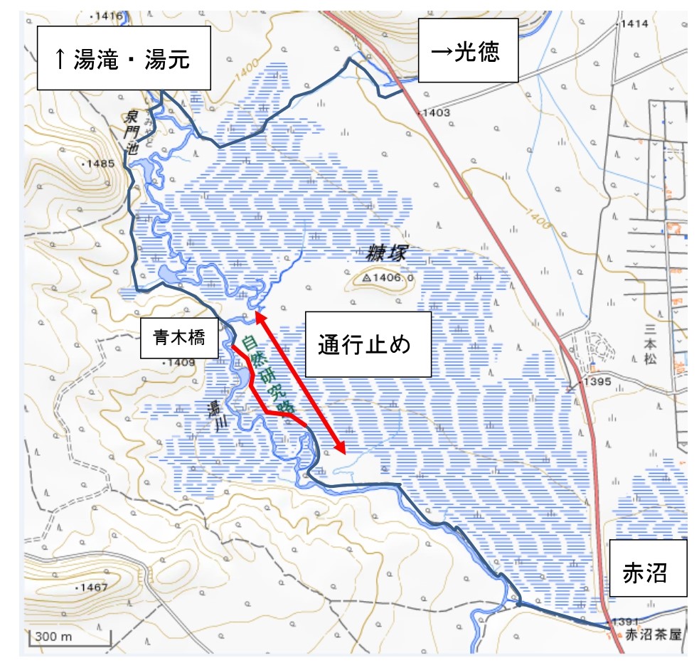 戦場ヶ原周回線歩道の工事に伴う通行止めについて