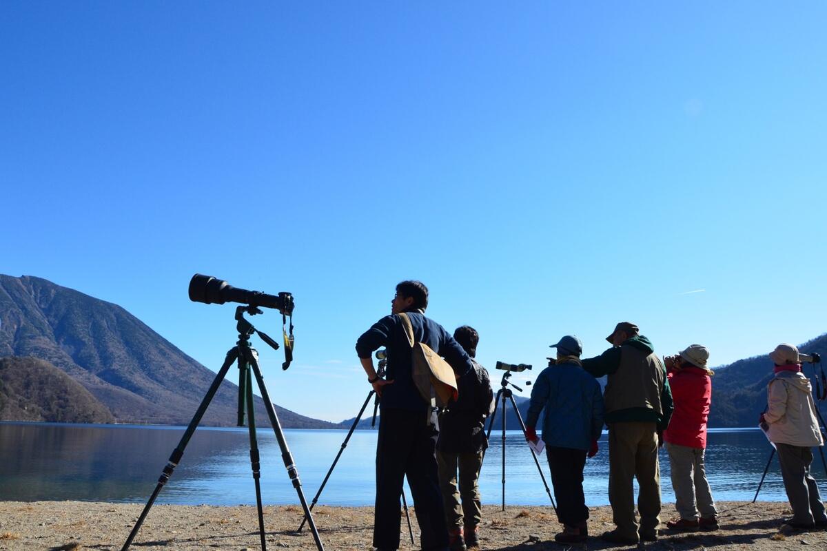 【令和5年11月26日(日)　冬空に舞う・中禅寺湖空の王者】オオワシ・オジロワシをさがそう！【バードウォッチング初心者大歓迎！】