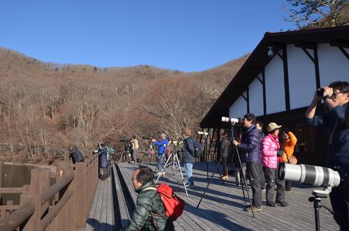 【令和6年12月7日(土)　冬空に舞う・中禅寺湖空の王者】オオワシ・オジロワシをさがそう！【バードウォッチング初心者大歓迎！】