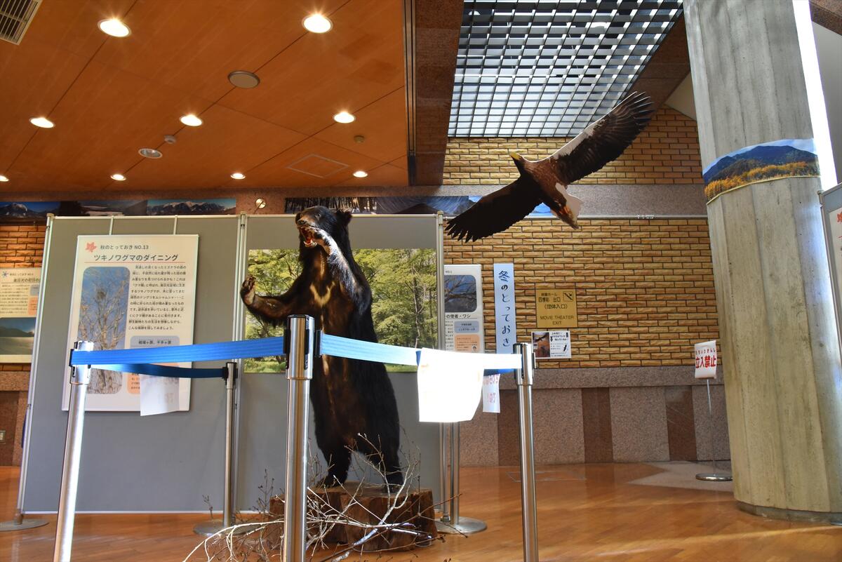 秋の企画展 「これに出会いたい！奥日光のとっておき　秋冬編」開催のお知らせ