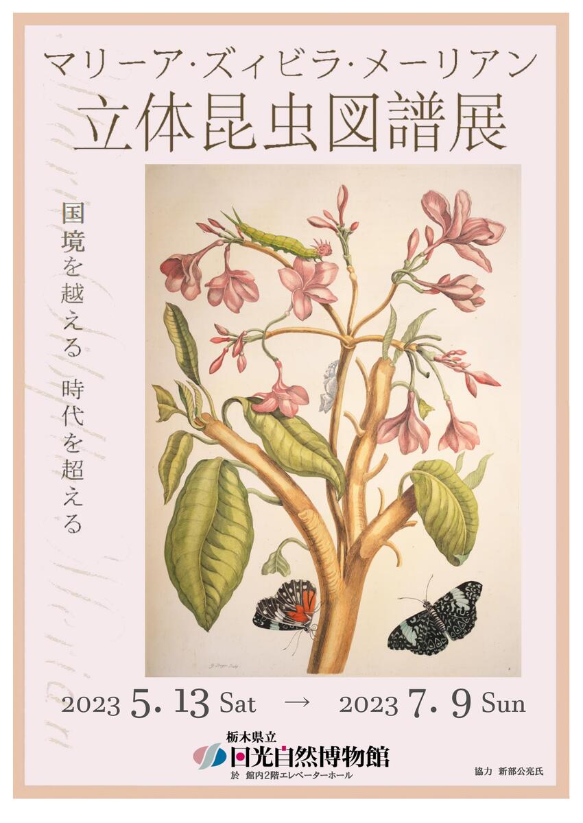 令和5年度春のミニ企画展「マリーア・ズィビラ・メーリアン 立体昆虫図譜展」開催のお知らせ