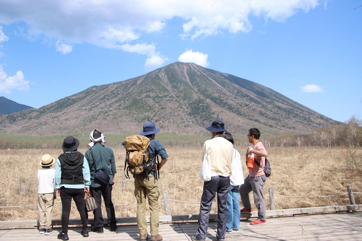 【令和7年5月3日(土)～6日(火祝)　どなたでも大歓迎！短距離のお手頃ハイキング】戦場ヶ原 春のガイドウォーク