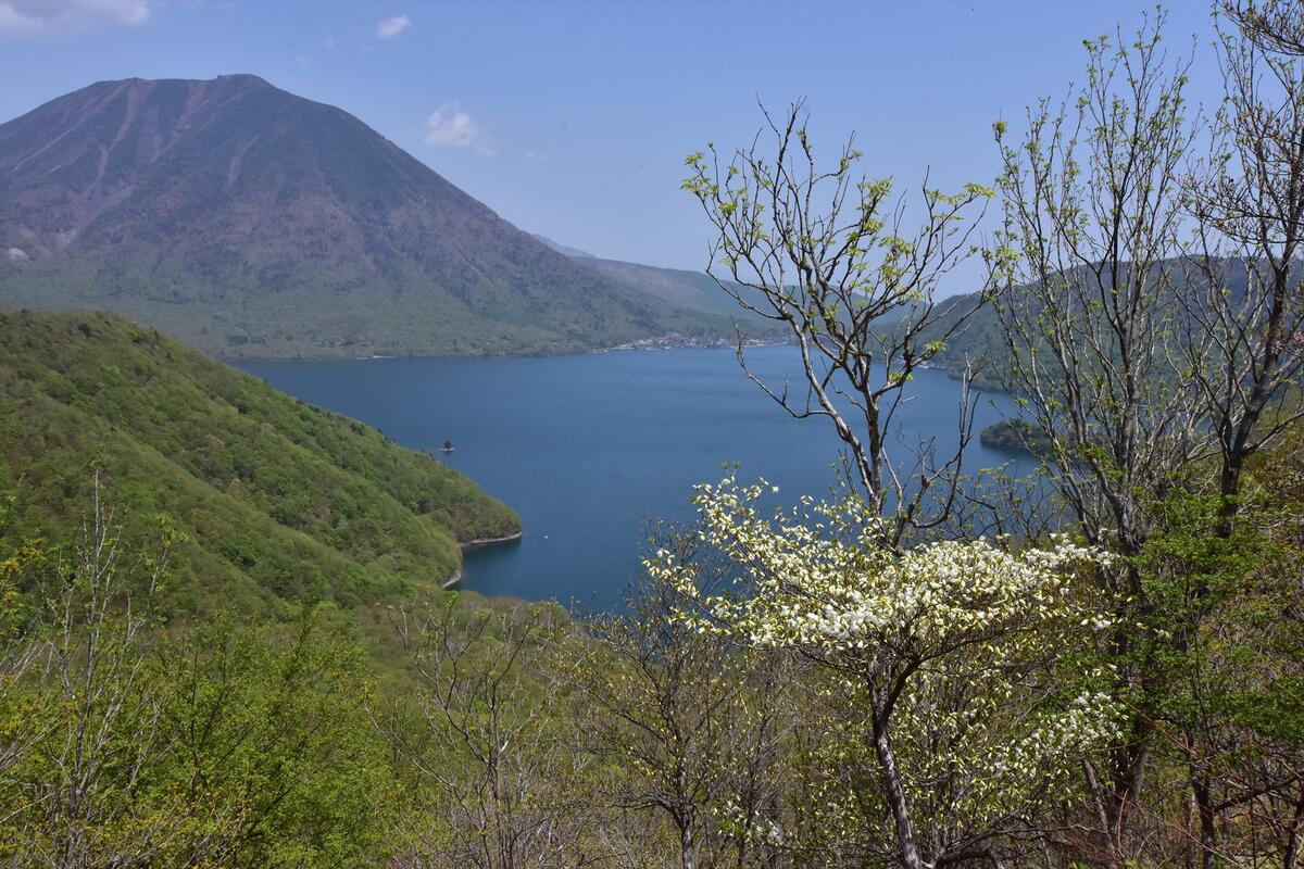 【令和7年5月24日(土)　ツツジ咲く絶景の尾根を歩こう！】社山トレッキング