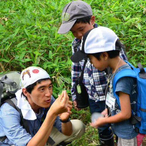【令和7年8月10日(日)　夏の昆虫展連動】カッチカチのコウチュウ観察会～フンチュウ編～