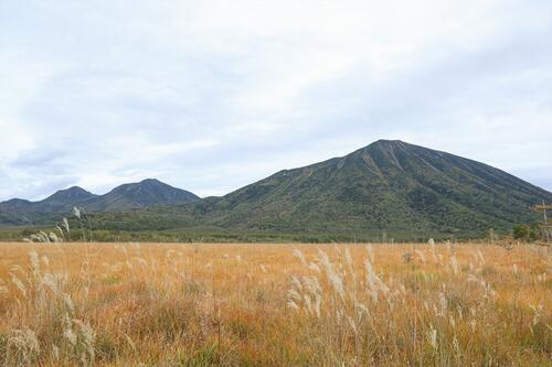 【令和7年10月5日（日）　手軽に自然体験】戦場ヶ原秋のガイドウォーク（その他日程も随時追加開催予定）