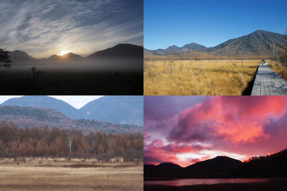 【令和7年11月2日(日) 薄明の湿原をのんびり満喫】早朝の戦場ヶ原・小田代原ハイキング