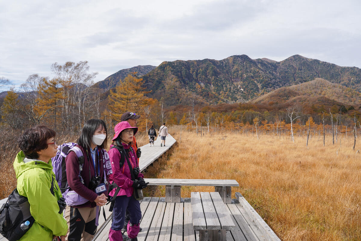 【令和7年11月3日(月・祝) 手軽に自然体験】戦場ヶ原秋のガイドウォーク（その他日程も随時追加開催予定）