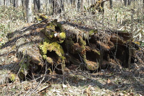【令和7年11月10日(月)　ガイド不可欠の知られざる道へ】湯導管の道を歩く