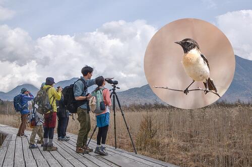 【令和8年4月29日(水祝)】奥日光バードウォッチング三昧！【初心者大歓迎】