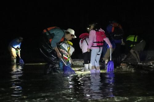 【令和8年6月20日(土)　夜の世界を探検！】中禅寺湖で夜の生きもの探し！