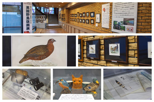 ～英国大使館別荘記念公園開園10周年記念～　英国野鳥版画展開催のお知らせ