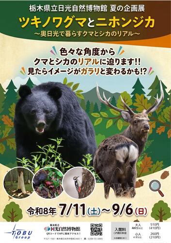令和8年度夏の企画展「もっと知ろう！奥日光のツキノワグマとニホンジカ」開催のお知らせ（予告）