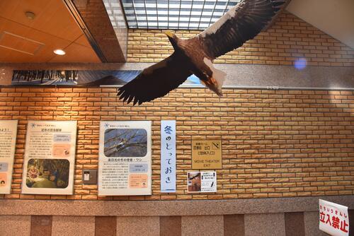 ＜予告＞秋の企画展「これに出会いたい！奥日光のとっておきVer.2　秋冬編」開催のお知らせ