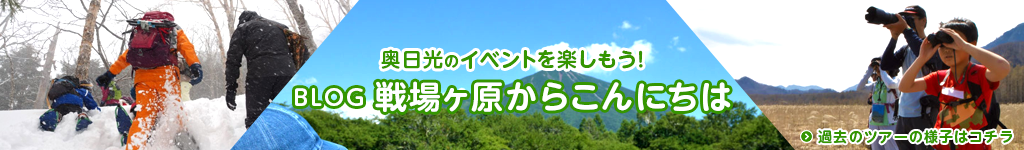 blog 戦場ヶ原からこんにちは