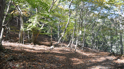 #06 Round-trip Course on the south bank of Lake Chuzenji