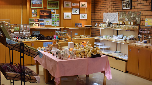 Museum Shop